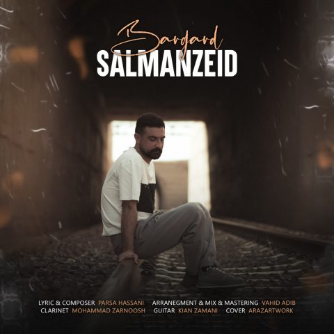 سلمان زید – برگرد